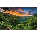 Aquarium Background Sunset Waterfall Tropical Jungle Terrarium Backdrop Lush Green Trees Jungle Style Natural Forest Landscape Fish Tank Background Reptile Habitat Backdrop Poster Vinyl 48x24in