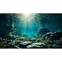 Aquarium Background Underwater Aquatic Plants Rocks Fish Terrarium Backdrop Sunlight Rays Coral Fish Tank Background Cave Style Landscape Sea Grass Tank Wallpaper Poster Vinyl 36x20in