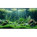 Aquarium Background Underwater Grass Leaves with Stone Aquarium Backdrop Vivid and Fresh Green Aquatic Plant Stone River Bed and Lake Fish Tank Background Decor Vinyl 36x18in