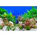 Aquarium Background Green Aquatic Plant Stone River Bed and Lake Fish Tank Background Decor Underwater Grass Leaves with Pebble Aquarium Backdrop Perfect Fish Tank Decors Vinyl 36x20in