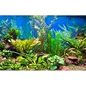 Aquarium Background Various Underwater Grass Plants Aquarium Backdrop Vivid and Fresh Green Aquatic Plants Stone River Bed and Dead Wood Purple Stone Fish Tank Background 24x12in