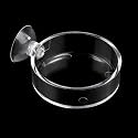 Aquarium Shrimp Feeder Dish Round Fish Tank Feeder Bowls Clear Aquarium Feeding Cup with Suction Cup