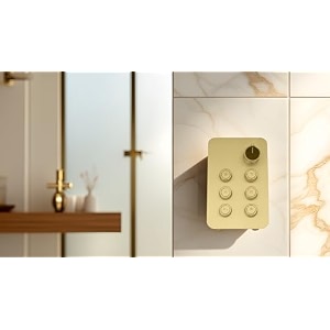 aquieen thermostatic diverter with push button amp flow control gold 6 way