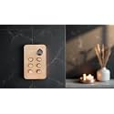 Aquieen Thermostatic Diverter with Push Button & Flow Control (Brushed Rose Gold, 6 Way)