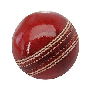 ar enterprises practice leather ball 2pcspart cricket leather ball pack of 1 red