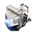 Araca BL-FU185A /SP.8EH01GC01 /1210S /725-10193/317-2531 Replacement Projector Lamp with Housing for HD66 PRO250X HD6700 TX536 EW536 HD600X HD67 HD67N PRO150S TW536 PRO350W DELL 1210S Projector