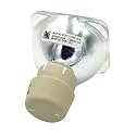 Araca BL-FU195A /BL-FU195B /BL-FU195C /BL-FU190E /5J.J9R05.001(OEM Original Bulb) Projector Bare Lamp for HD142X HD27 EH345 H183X TW342 S341 S340 PJD7828HDL PJD7720HD EH345 HD25e HD131Xe MX570 MX525