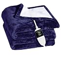 ARCOVA HOME Double Electric Blanket Throw With 6 Heating Levels And 2-10 Hours Time Settings, Flannel To Sherpa Heated 300 TC Blanket With 5 Year Warranty 60X60 Inch (Blue)|