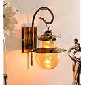 Areezo Circular Wall Light for Home Decoration, Antique Brown(AC, Metal) (Bull Not Included) (Pack of 1)