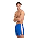 Arena Men's Icons Team Stripe Beach Short Boxers Swimming Bermuda with Mesh Inner Brief, Back Pocket, Pool Beach Vacation