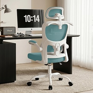 AreShark Office Chair Ergonomic Desk Chairs with