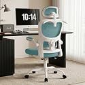 AreShark Office Chair Ergonomic Desk Chairs with