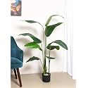 ARICK DECOR Artificial Traveller's Banana Plant for Home Decor/Office (5.3FT-Banana)