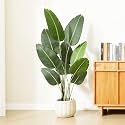 ARICK DECOR Artificial Bird of Paradise Plant 5Ft Tall - Fake Tropical Palm Tree with Lush Silk Banana Leaves, Large Indoor Faux Plant Decorative Real Touch Green Tree in Black Pot for Home