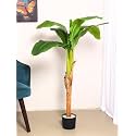 ARICK DECOR Artificial Traveller's Banana Plant for Home Decor/Office (Green-with Pot)
