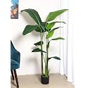 ARICK DECOR 6ft Artificial Bird of Paradise Fake Plants Indoor Faux Tropical Palm Potted Dypsis Lutescens for Home Office Decor Housewarming (180,cm,Pack)