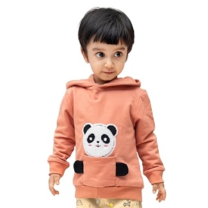 ariel kids cotton fleece full sleeve hoodie sweatshirt for boys and girls
