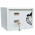 Armour Safe 11 Liter 9 Kg Mechanical Locker | Secure Lock Box | Money Box | Locker with Key | Home & Hotel Safe | Mild Steel Lockers for Cash Jewellery Important Documents (9 x 12 x 9 IN)