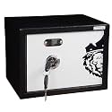 Armour Safe 11 Liter 9 Kg Mechanical Locker | Secure Lock Box | Money Box | Locker with Key | Home &amp; Hotel Safe | Mild Steel Lockers for Cash Jewellery Important Documents (9 x 12 x 9 IN)