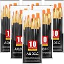 AROIC Acrylic Paint Brushes, 6 Packs / 60 pcs Nylon Hair Paint Brush Set