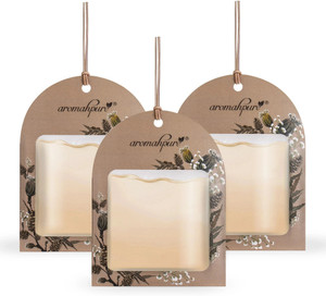 Aromahpure Musk Car Freshener Diffuser Gel Wink