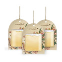 Aromahpure Sandalwood Car Freshener Diffuser Gel Wink