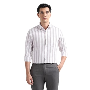 Arrow Checked Slim Fit Mens Formal Shirt