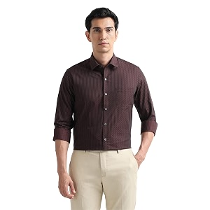Arrow Checked Slim Fit Mens Formal Shirt