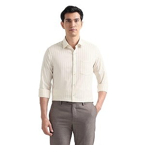 Arrow Checked Slim Fit Mens Formal Shirt
