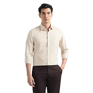 Arrow Checked Slim Fit Mens Formal Shirt