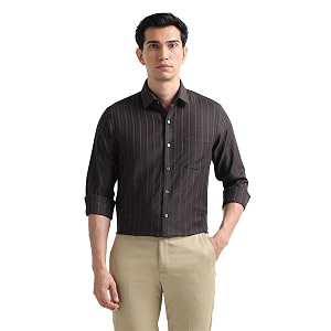 Arrow Checked Slim Fit Mens Formal Shirt