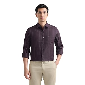Arrow Checked Slim Fit Mens Formal Shirt