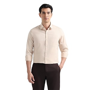 Arrow Checked Slim Fit Mens Formal Shirt