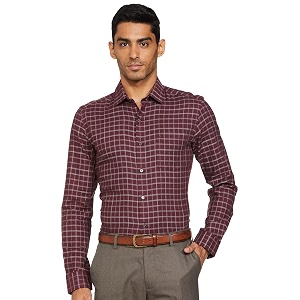 Arrow Mens Cotton Slim Fit Formal Shirt