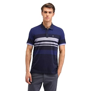 Arrow Sport Men Regular fit Cotton Striped