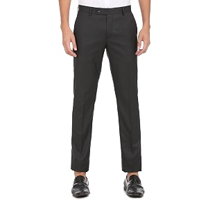 Arrow Mens Regular Pants