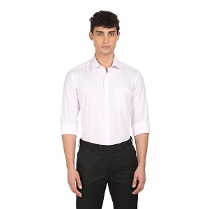 Arrow Mens Slim Fit Shirt