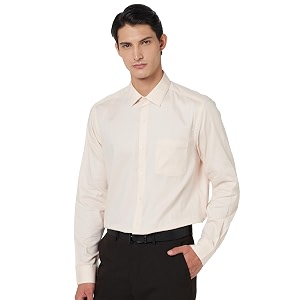 Arrow Mens Slim Fit Shirt