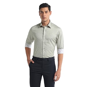Arrow Mens Slim Fit Shirt