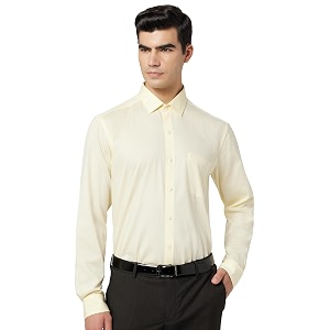 Arrow Mens Solid Slim Fit Shirt