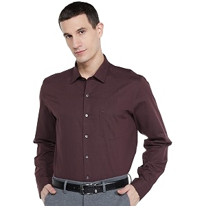 Arrow Mens Solid Slim Fit Shirt