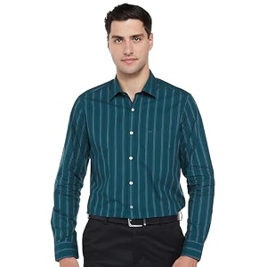 Arrow Mens Striped Slim Fit Shirt