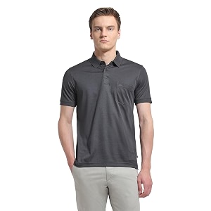 Arrow Men Polo Shirt