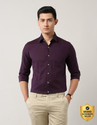 ARROW Men Solid Formal Purple Shirt
