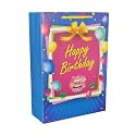 Arrow Paper Products Happy Birthtday Paper Gift Bags for Return Gift, Small Presents (Blue and Pink, 20.32 x 7.62 x 27.94 cm) Pack of 30