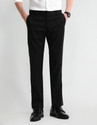 ARROW Regular Fit Men Black Trousers