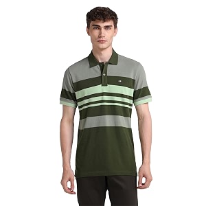 Arrow Sport Men Regular fit Cotton Striped