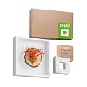 arscent Faux Air Plant 3D Bathroom Wall Art with Scented Stone Diffuser