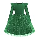 Arshiner Toddler Girls Long Dresses Sleeve Ruffle Winter Holiday Dress 2-6Y