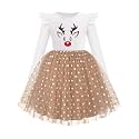 Arshiner Toddler Girls Long Dresses Sleeve Ruffle Winter Holiday Dress 2-6Y